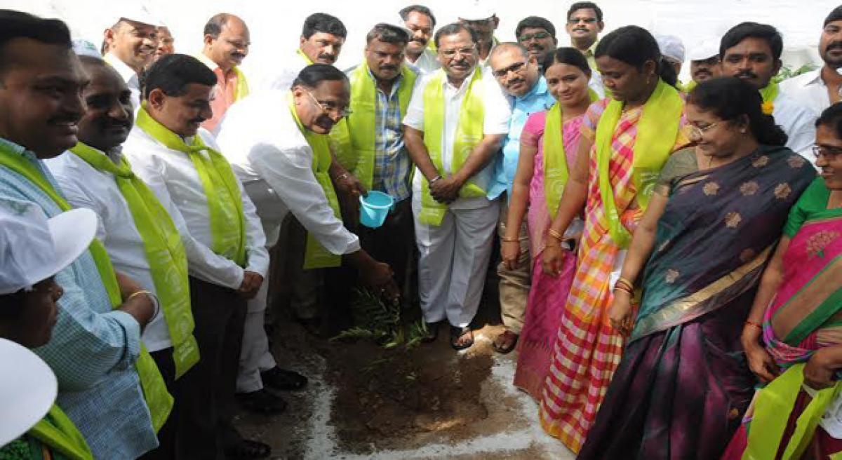 MP Gutha Sukender urges people to plant saplings.